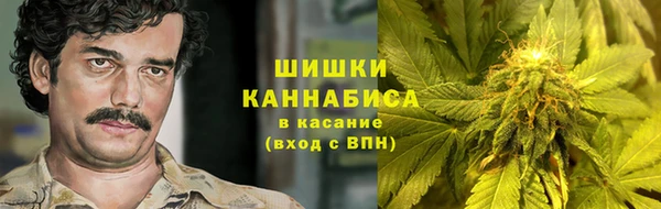 крисы Богородск