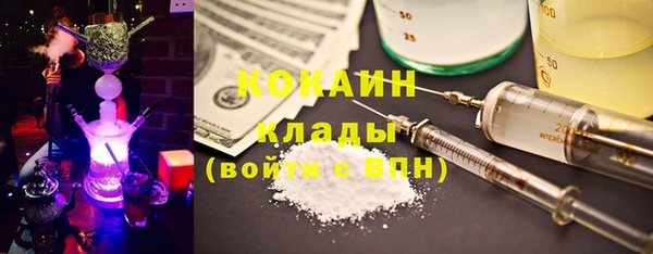 гидра Богородицк