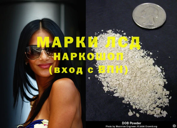 гидра Богородицк