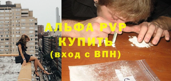 гидра Богородицк