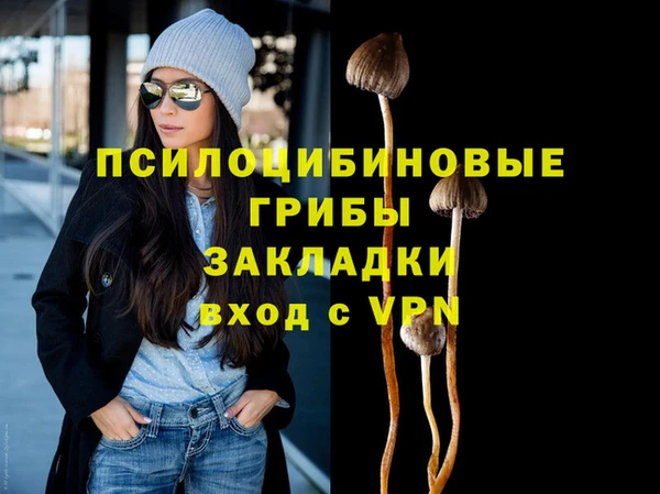 марки nbome Богданович